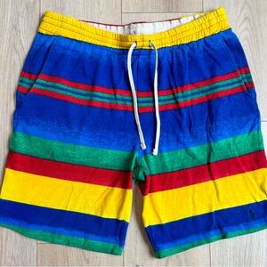 Ralph Lauren Multicolor Striped Swim Shorts